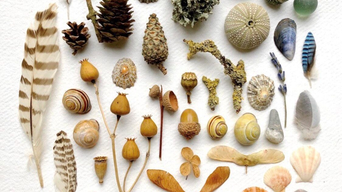 Decolonizing Knowledge